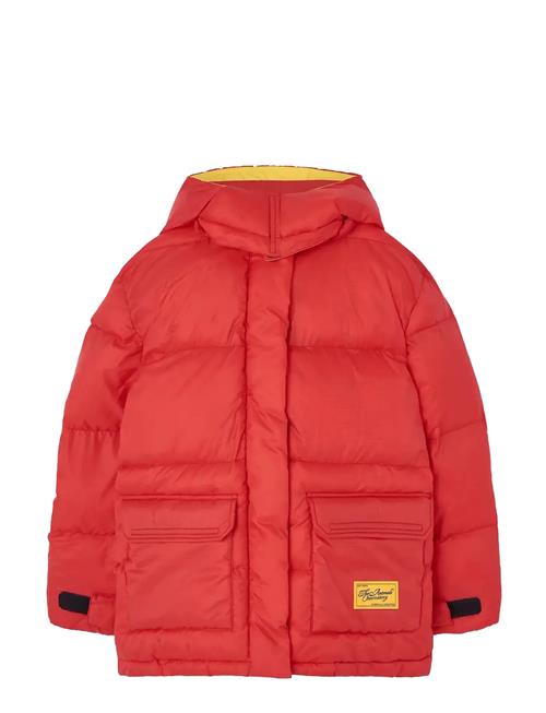 THE ANIMALS OBSERVATORY | Lemur Kid Puffer Jacket Maroon | 6 Y