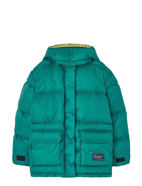 THE ANIMALS OBSERVATORY | Lemur Kid Puffer Jacket Maroon | 10 Y