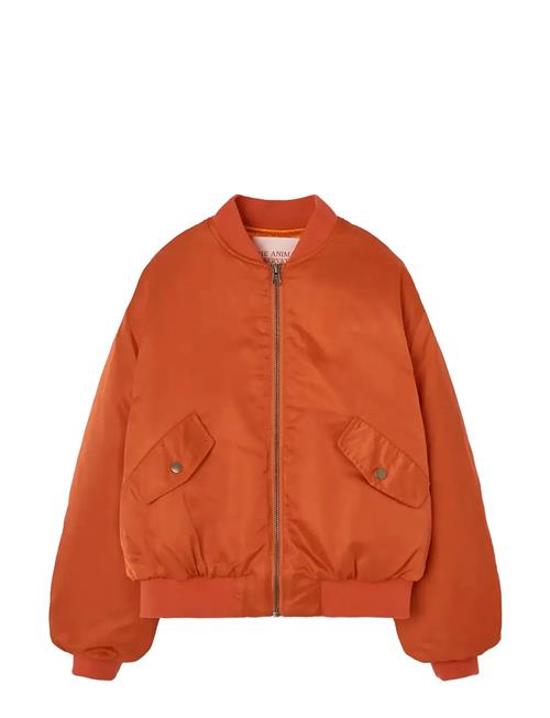 THE ANIMALS OBSERVATORY | Panda Kid Bomber Jacket Fig Red | 4 Y
