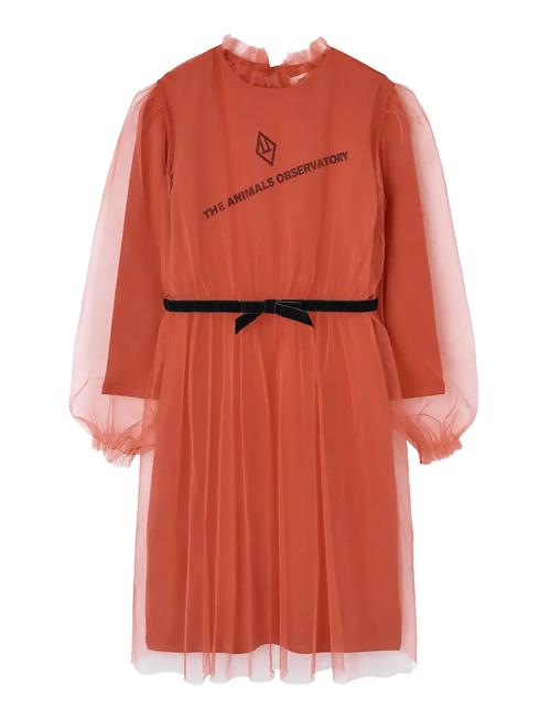 THE ANIMALS OBSERVATORY | Tulle Tortoise Kid Midi Dress Red | 4 Y