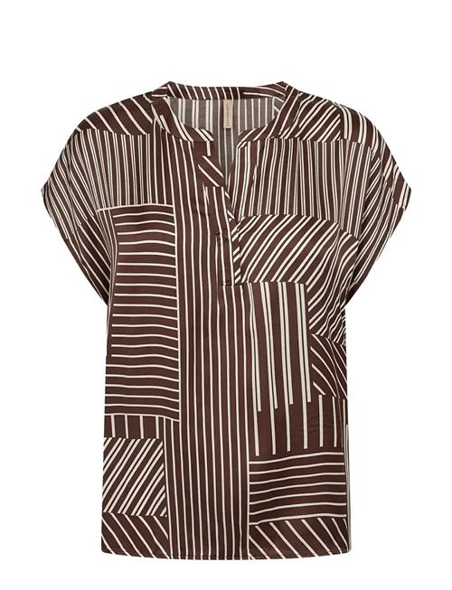 Soyaconcept | Sc-Catarina | XL