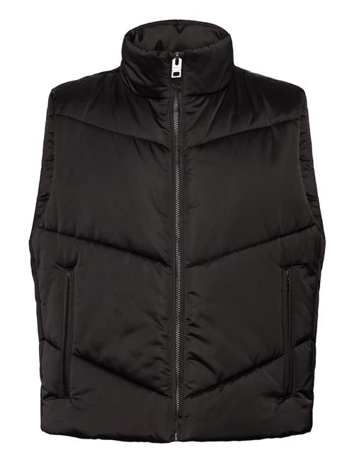 HUGO | Berolino2531 | XL