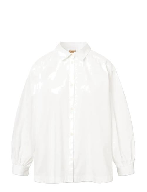 Rue de Tokyo | Sloan Organic Garment Dyed Poplin | L