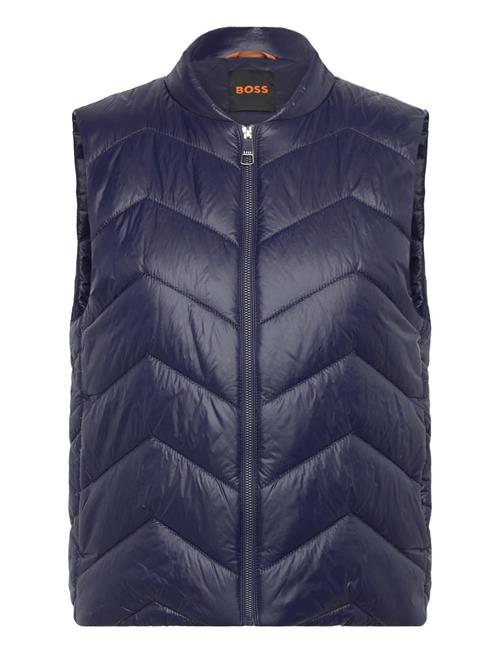 BOSS | C_Palattini | 38