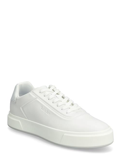 Calvin Klein | Basket Cups Oxf Lup Hf Lth | 42
