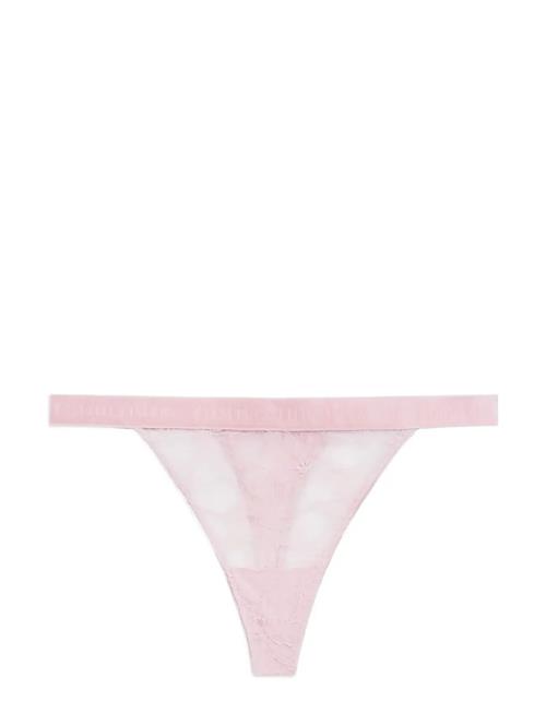 Tommy Hilfiger | Tanga Thong (Ext. Sizes) | S