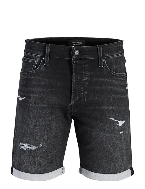 Jack & Jones | Jjirick Jjicon I.k. Shorts Ge 066 | M