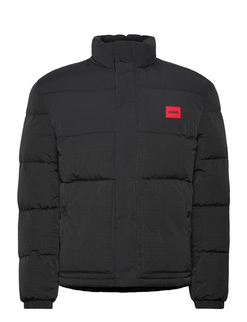 HUGO | Balto2541 | S