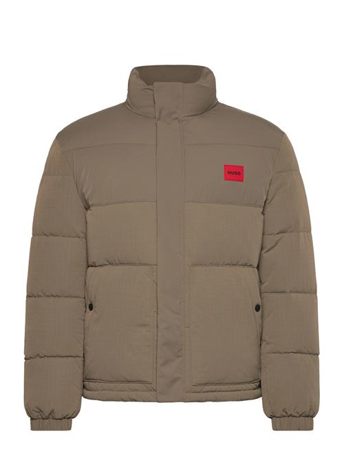 HUGO | Balto2541 | XL