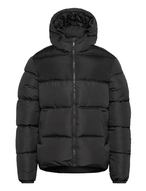 French Connection | Row Mid Panel | XL