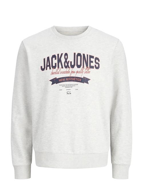 Jack & Jones | Jjelogo Sweat Crew Neck 2 Col Ss26 | M