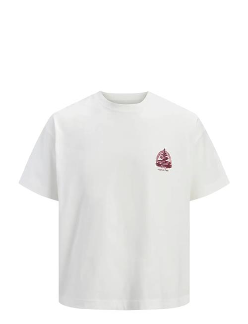 Jack & Jones | Jormaine Back Tee Ss Crew Neck Sn | XL