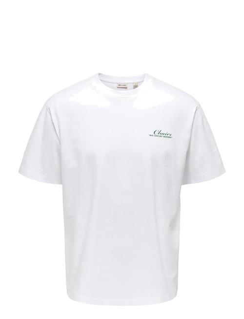 ONLY & SONS | Onsfred Life Mid Century Rlx Ss Tee | XXL