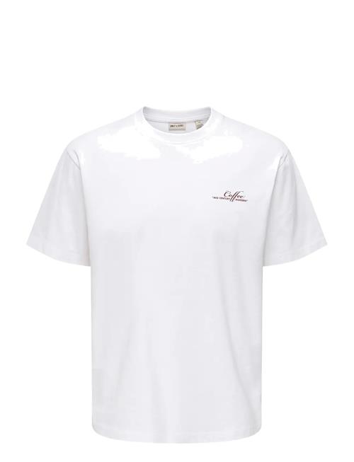 ONLY & SONS | Onsfred Life Mid Century Rlx Ss Tee | M