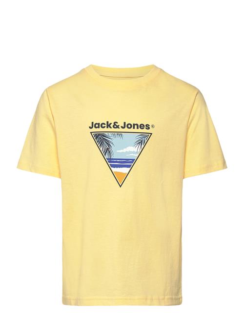 Jack & Jones | Jjperry Tee Ss Crew Neck Jnr | 176