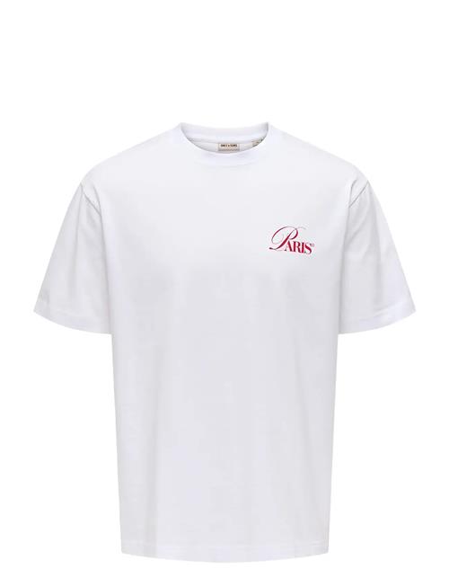 ONLY & SONS | Onsfred Elegants Rlx Ss Tee | M