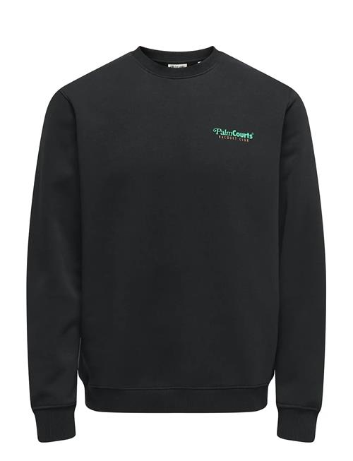 ONLY & SONS | Onsten Reg Ls Crew | XXL