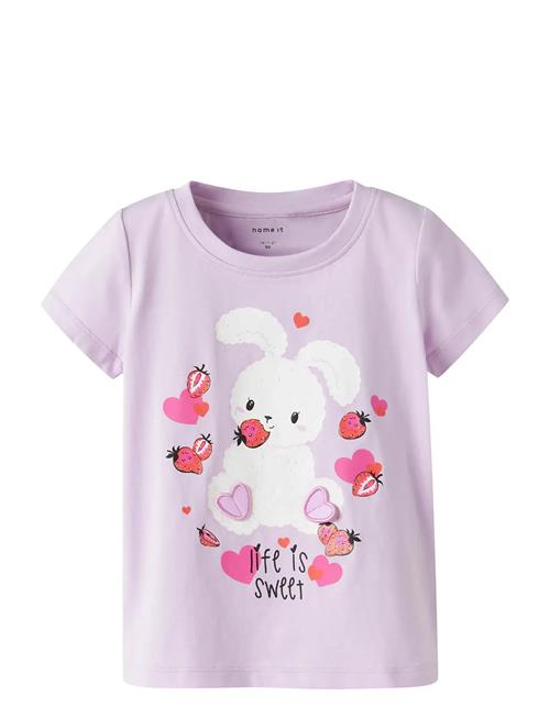 name it | Nmfdeppa Ss Top Box | 104