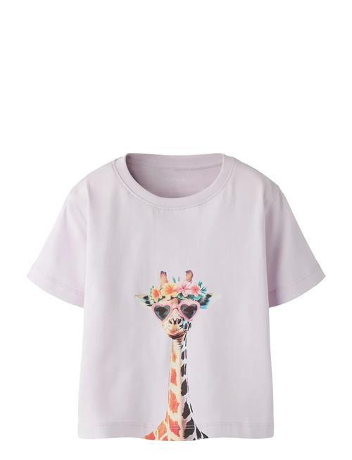 name it | Nmfvotea Ss Nreg Top | 98