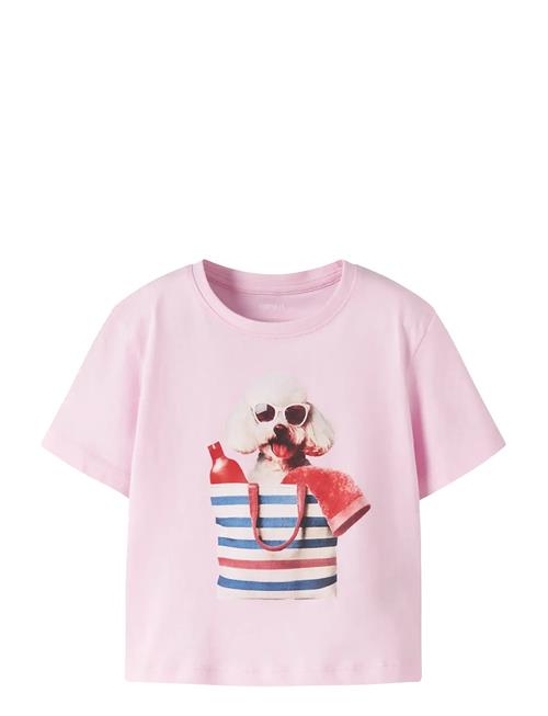 name it | Nmfvotea Ss Nreg Top | 104