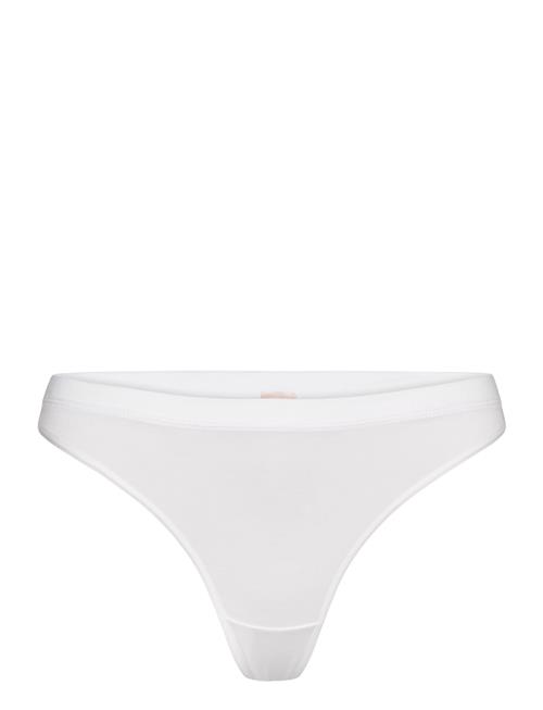 CCDK Copenhagen | Modal String Brief | M
