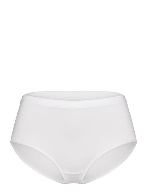 CCDK Copenhagen | Modal Maxi Brief | M