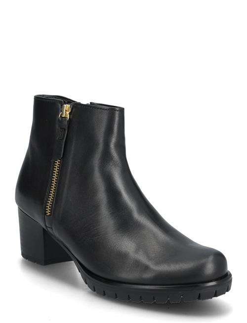 Gabor | Ankle Boot | 41