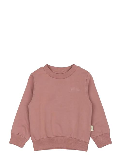 Petit Piao | Ppdun Sweat Shirt | 86