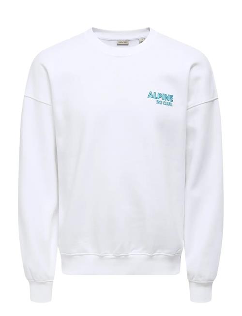 ONLY & SONS | Onsceres Ski Ls Reg Crew Swe Cs | L