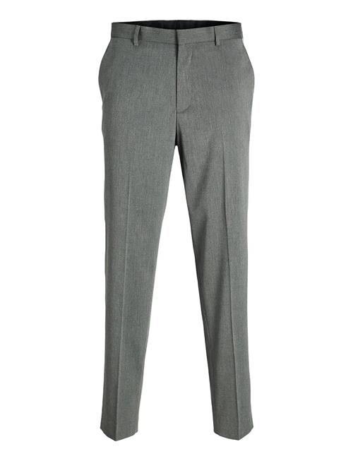 Jack & Jones | Jprbushwick Ashton Trouser Jnr | 158