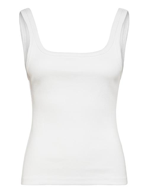 2NDDAY | 2Nd Viper Tt - Daily Cotton Rib | XXS