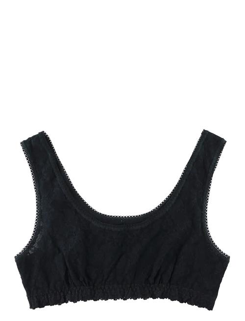 Hanky Panky | Hanky Panky Daily Lace, Lined Scoop Neck Bralette | M