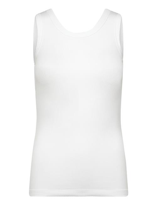 Calvin Klein | A- Modal Rib Tank (Essential) | S