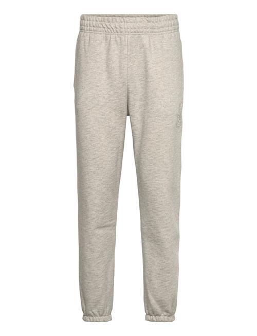 Tommy Hilfiger | Crest Graphic Sweatpant | L
