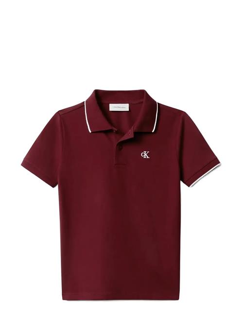 Calvin Klein | Tipping Regular Ss Polo | 140