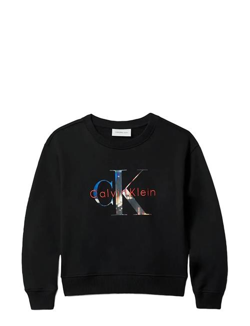 Calvin Klein | Filled-In Photo Fleece Mono Cn | 170