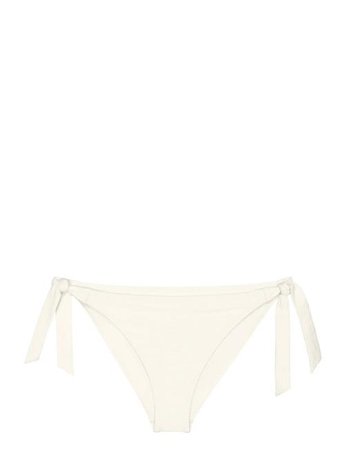 Triumph | Summer Dune Tai | 40