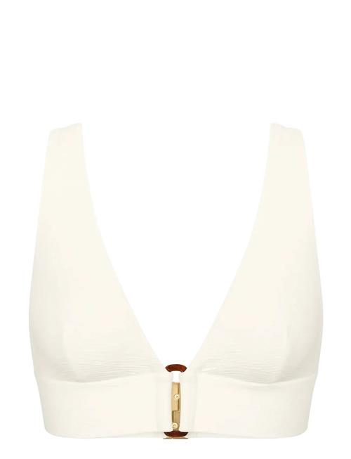 Triumph | Summer Dune P | D x 36