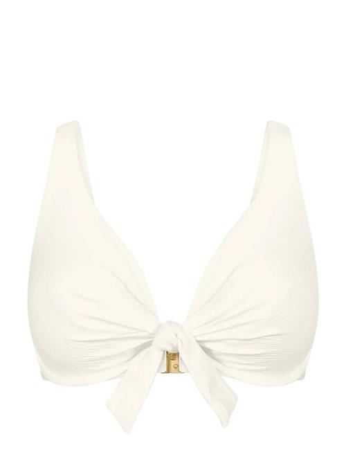 Triumph | Summer Dune W | C x 38