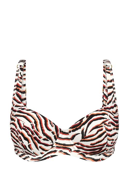 Triumph | Summer Wild Wp | F x 42