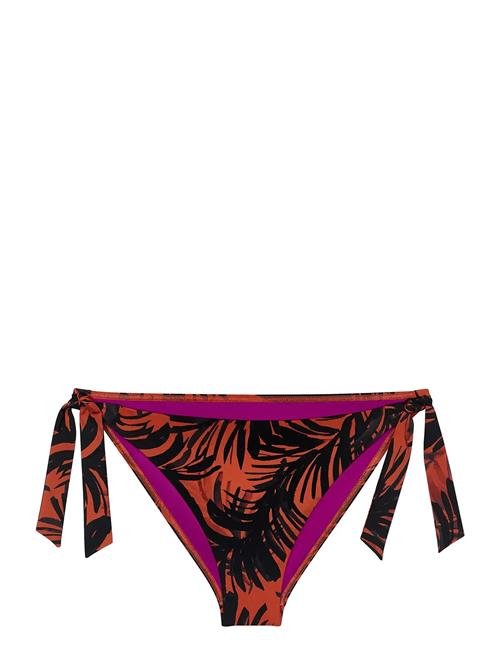 Triumph | Summer Palm Tai | 36