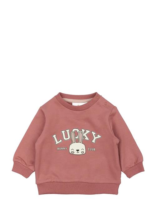 The New | Tnsbpheba Sweatshirt | 56