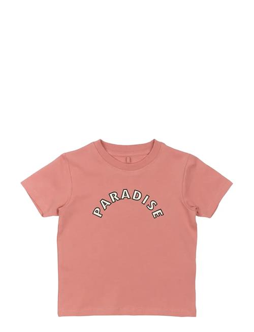 The New | Tnstophelia S_S Tee | 98