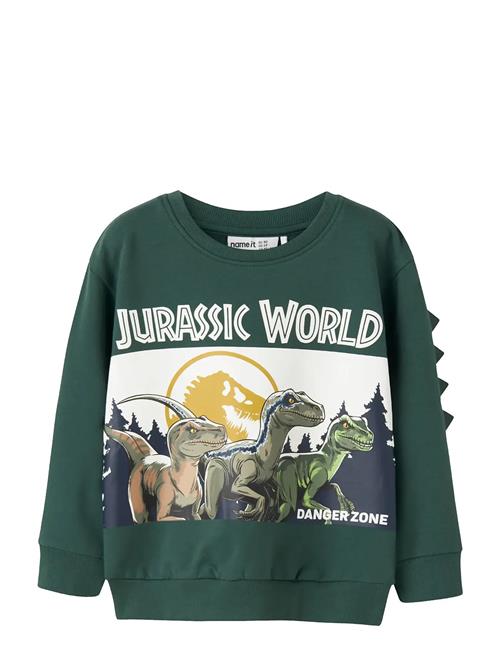 name it | Nmmoswald Jurassic Nreg Sweat Bru Sky | 110
