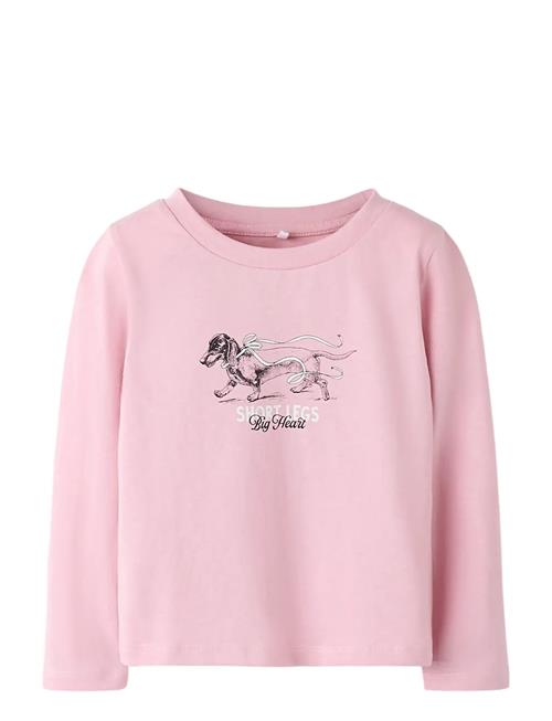 name it | Nmfsigne Ls Nreg Top | 86