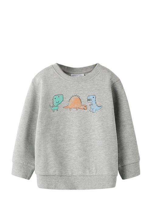 name it | Nmmsikko Ls Nreg Swe Bru | 98