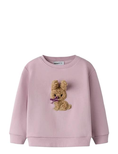 name it | Nmfsilia Ls Nreg Swe Bru | 116