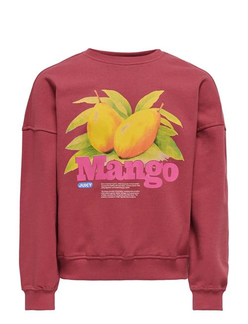 Kids Only | Kogphilea Life L/S Ovzfruit Oneck Ub Swt | 158-164