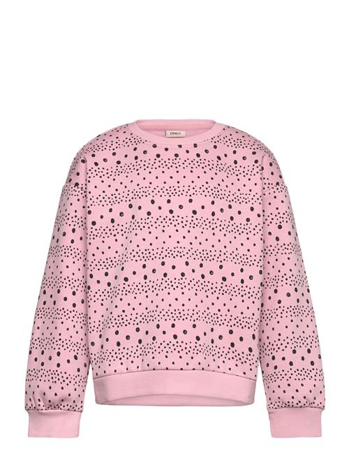 Kids Only | Kmgappalosa L/S Loose Life Pullo Bru Swt | 116