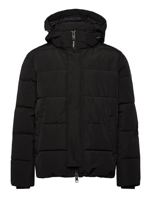 Replay | Jacket Comfort | M